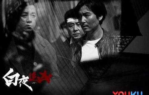 白夜追凶在线观看,黑白交织的悬疑世界，揭秘犯罪背后的真相