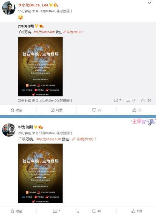 最新爆料出炉视频,神秘事件背后惊人真相！